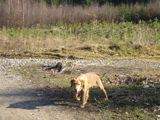 P2245045.jpg